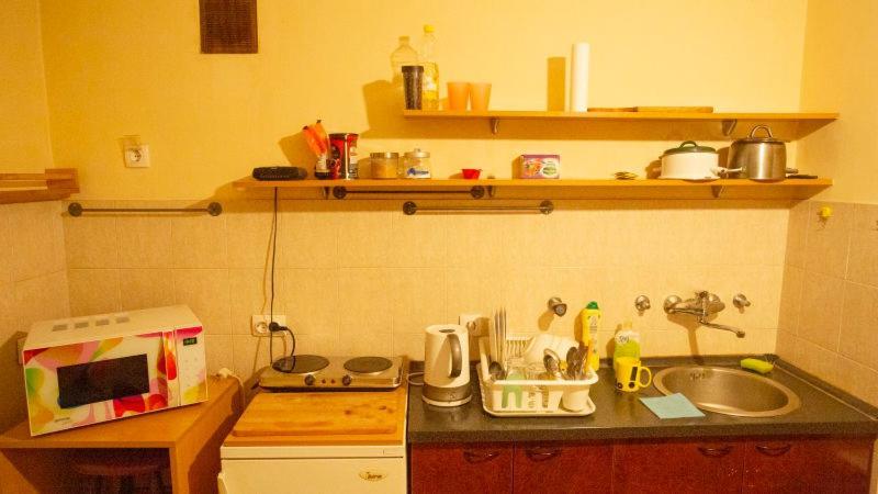 Private Cozy Room 1 With Shared Kitchen In Appartment, Downtown Belgrad Exteriör bild